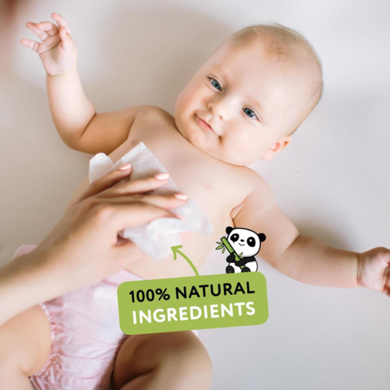 The Cheeky Panda Bamboo Biodegradable Baby Wipes 1 Count (Pack of 12)